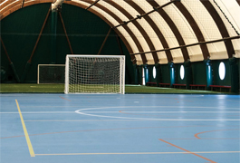 edel sport group