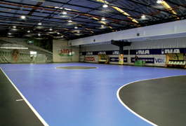edel sport group
