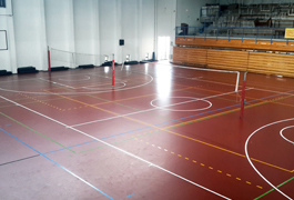 edel sport group