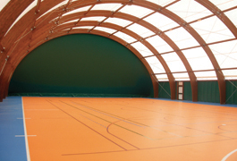 edel sport group