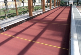edel sport group