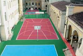 edel sport group