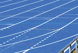 edel sport group