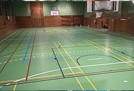 edel sport group